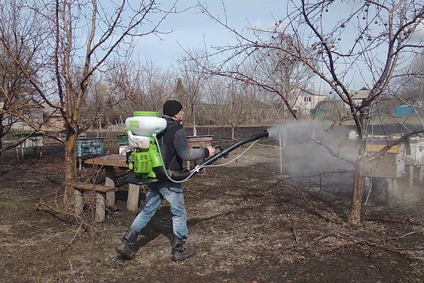 Лечение деревьев парогенератором