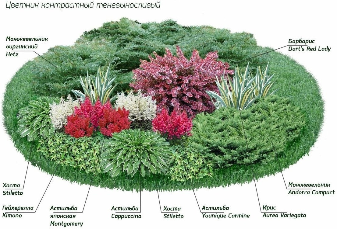 Схема посадки клумбы