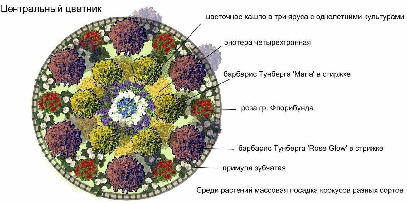 Схема посадки круглой клумбы